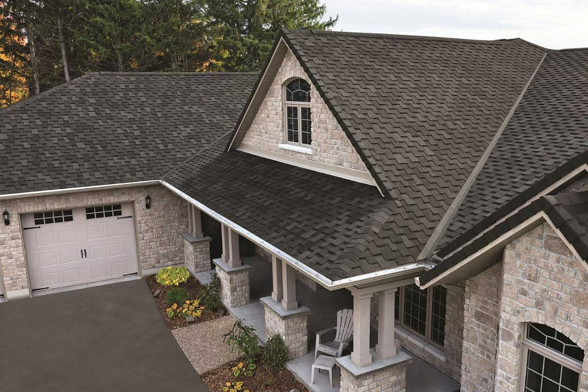 Shingle Roof