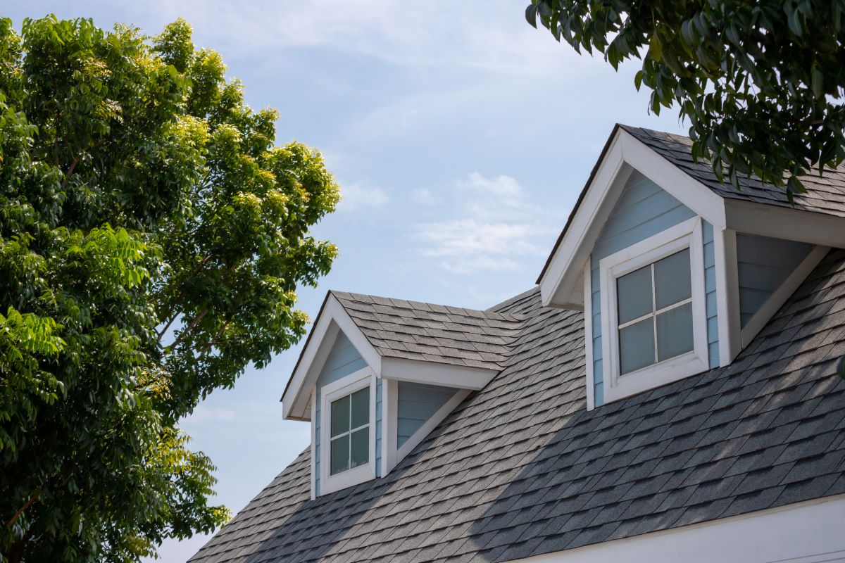 Asphalt Shingles Roof