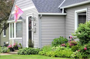 Vinyl Siding